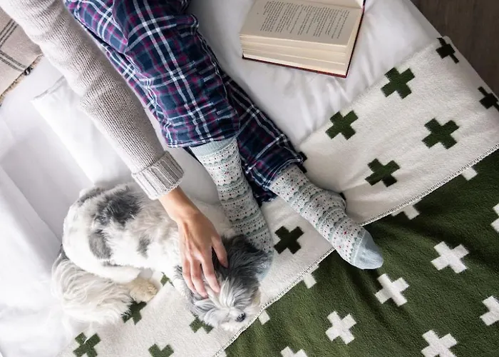 Готель Altein Arosa, A Faern Collection Ароза